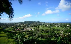 Rainforest & Ocean View Inn At Carabali